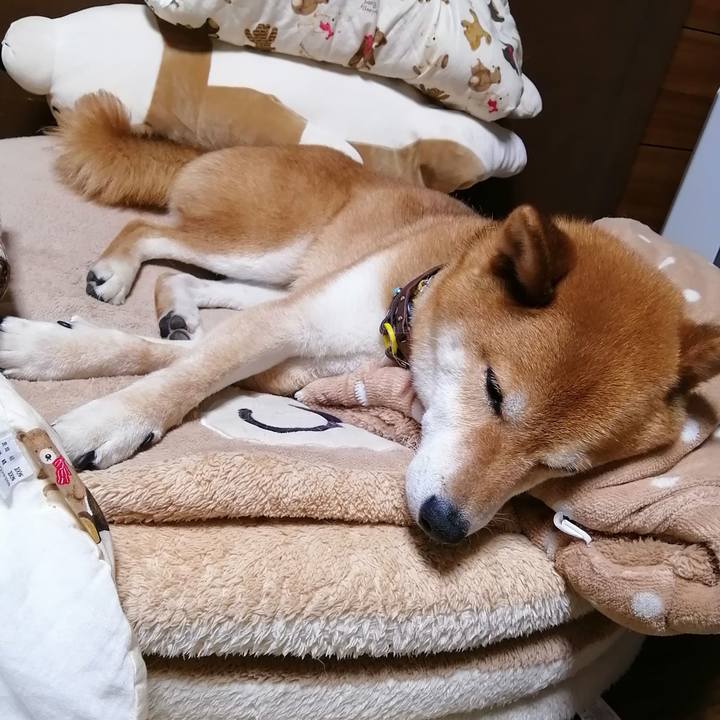 4e1aca21 47cb 443d b27e c457e5b936e3 1623151553284