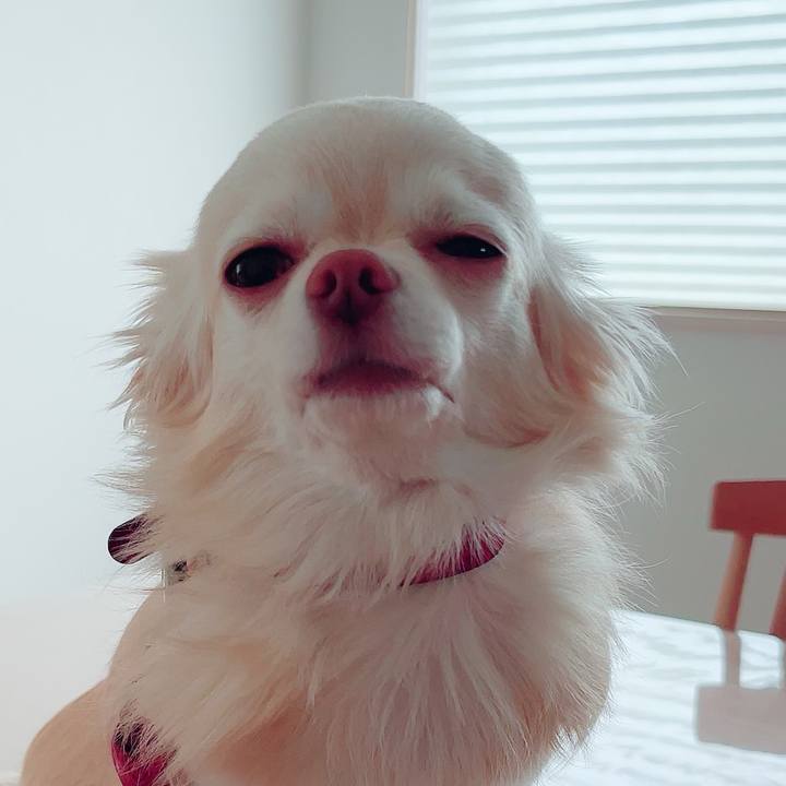 4e1accc6 ad54 452b a557 ba7b1bbeac2a 1684832095544