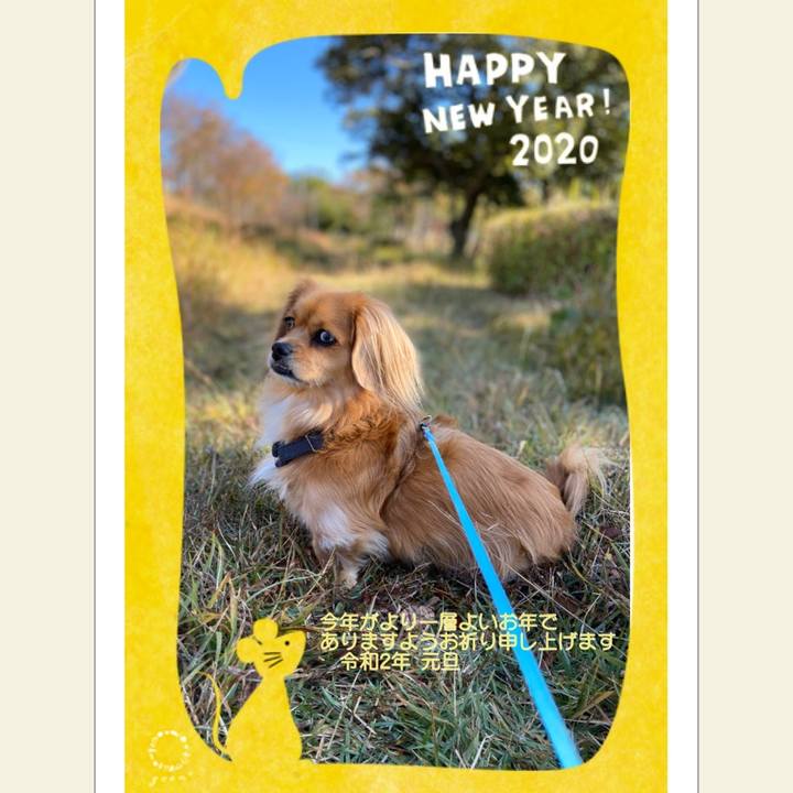 4e1b2a94 8121 4065 9e6b cbd184940e57 1577826571542