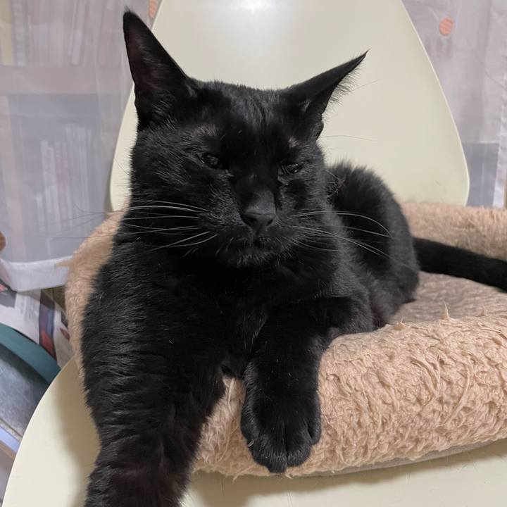 4e1b316f 0742 42cf af4f 657d8935a640 1683551676930