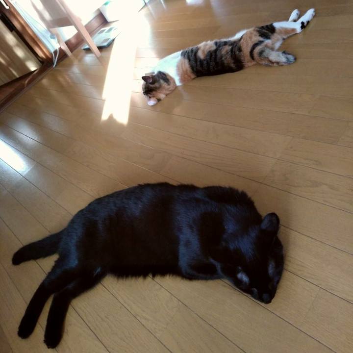 4e1b5f4f 3131 4c6c 81cc 78e7fd459b01 1568109400391