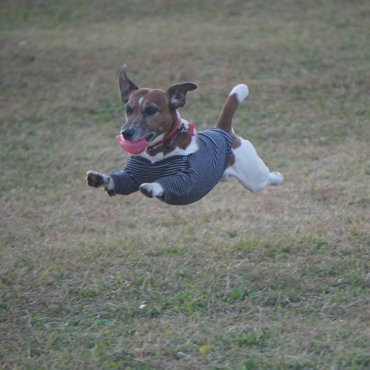 4e1b6280 ad8b 42f5 93c3 749ecd86b926 1605057868807