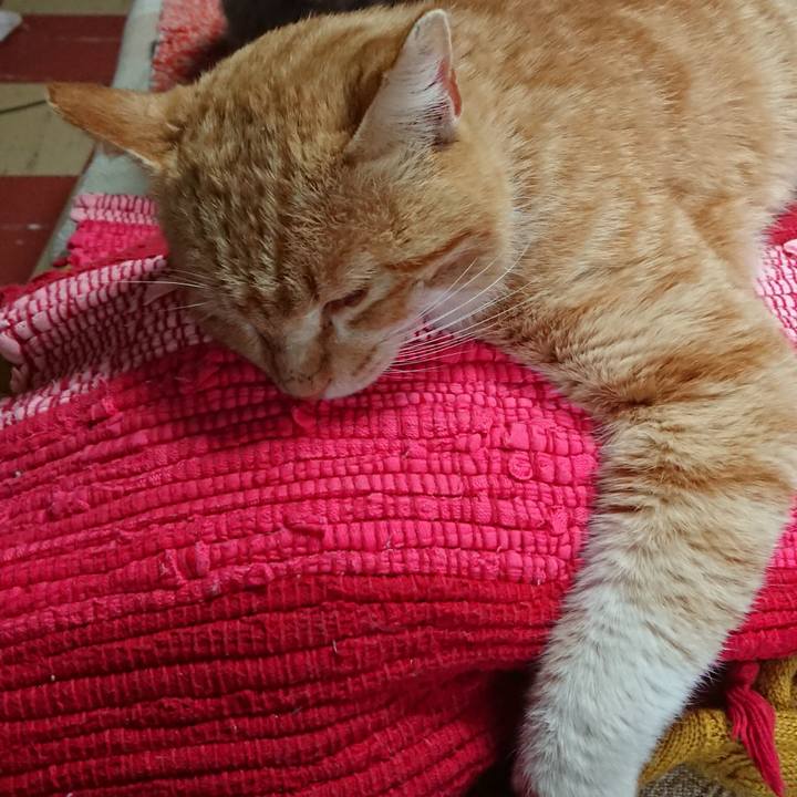 4e1b7946 e515 4c8e 8dbd b0c2dc70176e 1555024483271