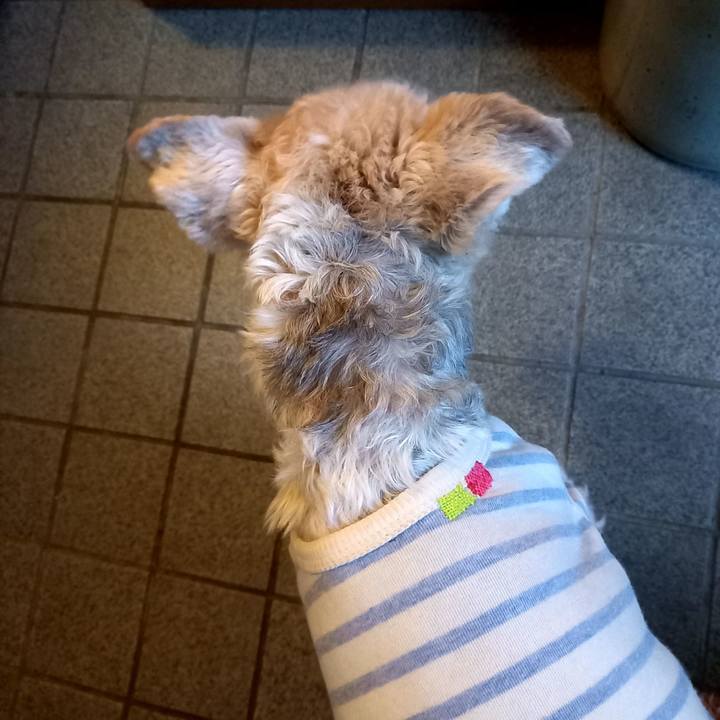 4e1bd03e ff3c 4641 91e4 64b5b2004fa0 1613694774597