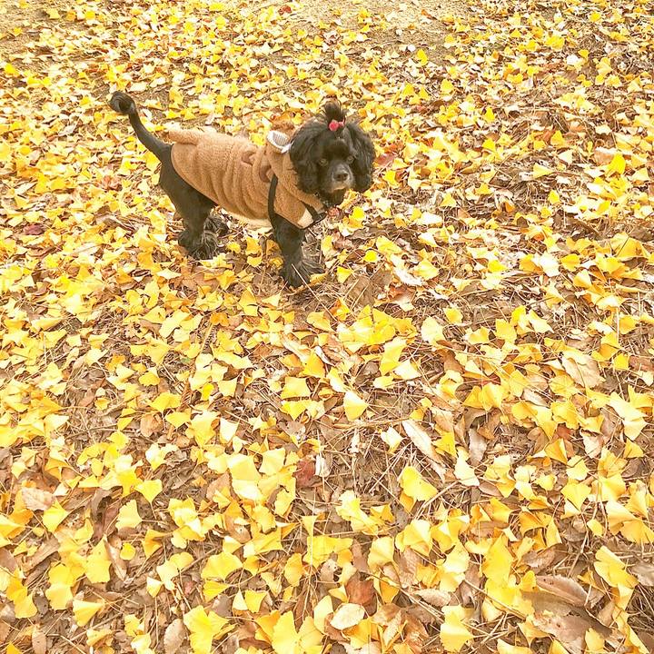 4e1bdc69 ba9c 477d 9652 3c7bedffab71 1575454412420