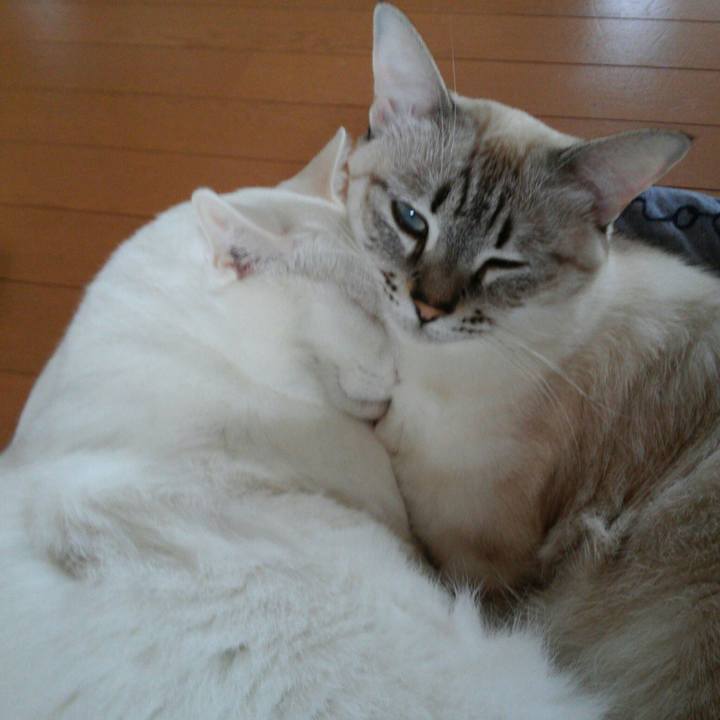 4e1bef95 50e9 4d29 a477 43a084f168c3 1508738010250