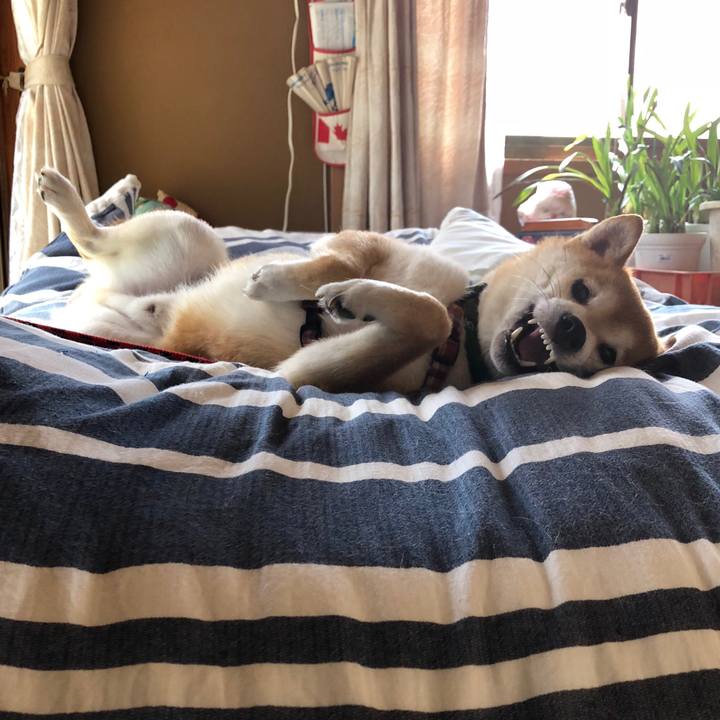 4e1c5a80 b79e 4583 9fd0 bea4ab1cccbc 1533548511343