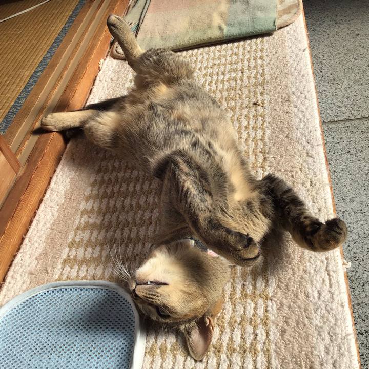 4e1c6098 a9de 4409 99dc eb72bedbd9fc 1580526394827