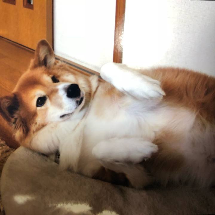 4e1c8256 2335 48e3 b1d3 2c5cf4d54e84 1521190942977