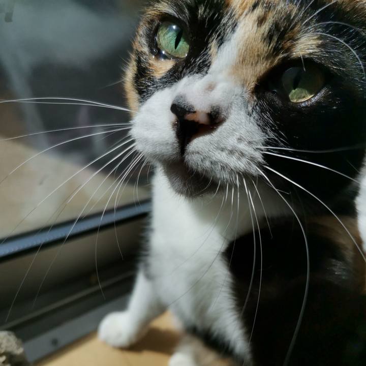 4e1cafff ad64 4e66 b06c 8af231b44e05 1665634109450