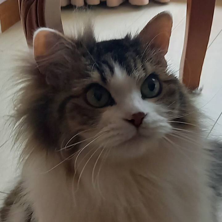 4e1ccac7 5613 4975 9370 bac4b55975c3 1655506300404