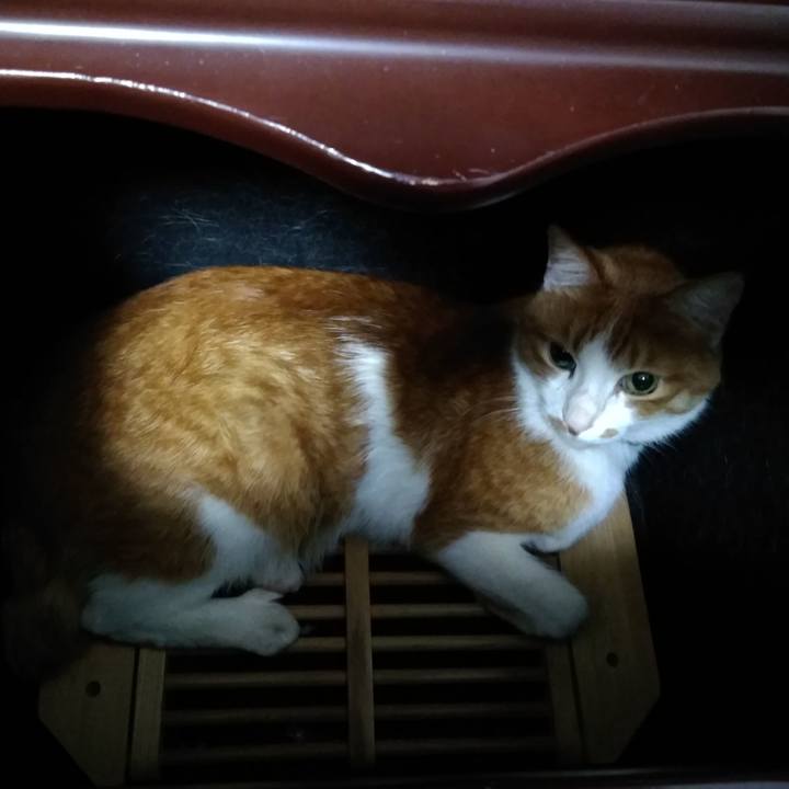 4e1ccf73 eaf7 4618 98e7 dd1f2dbe7fde 1551571937220