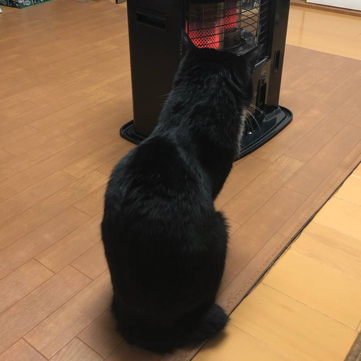 4e1cf1b2 3cec 4fa4 8013 363e730e920e 1546156480184