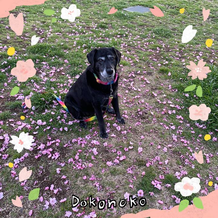 4e1cf9de e21a 4265 99de a86491246ad5 1711549677053