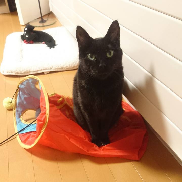 4e1d4f94 afe6 4029 909f f8deab235732 1517315277501