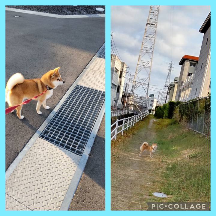 4e1d5c98 3cb4 45bf acbd 4cbab030d18e 1743731774893