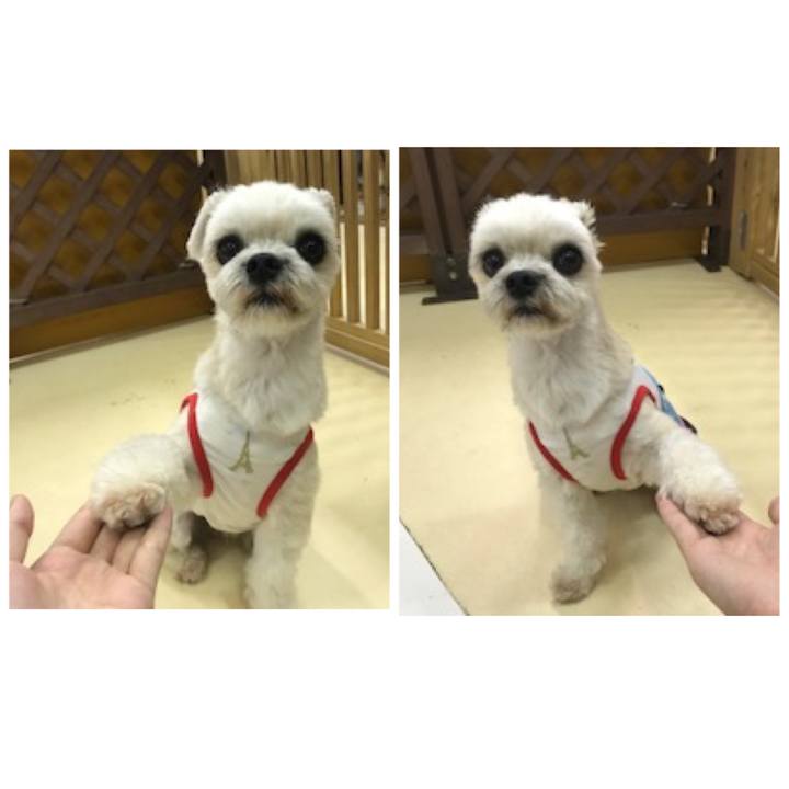 4e1df6a5 e0b3 46db 832d 35f66f1e0812 1539168772198