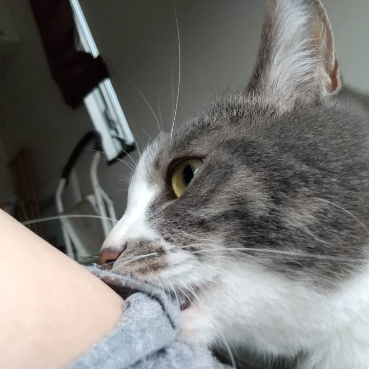 4e1df7be f5c6 4766 939d a6fb2307be02 1650577195369