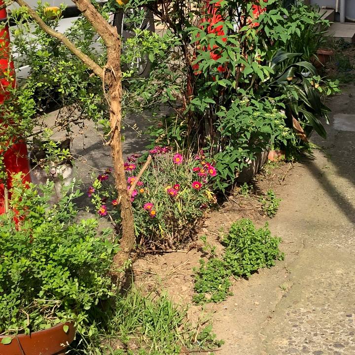 4e1e105e 7ef8 426f 9ad9 11ce45a8bc3c 1523441055414