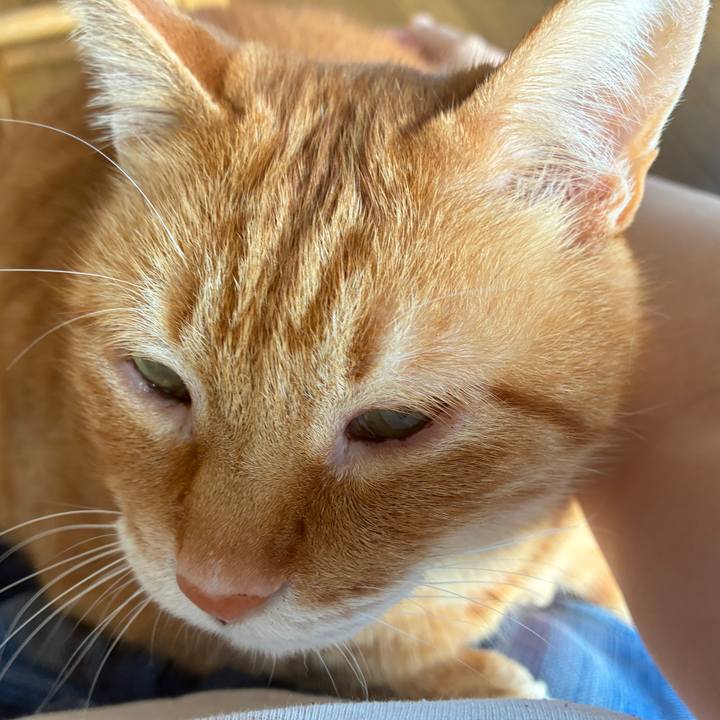 4e1e1da6 893c 4e6e 9c0a b59f9f868ce8 1746394723388