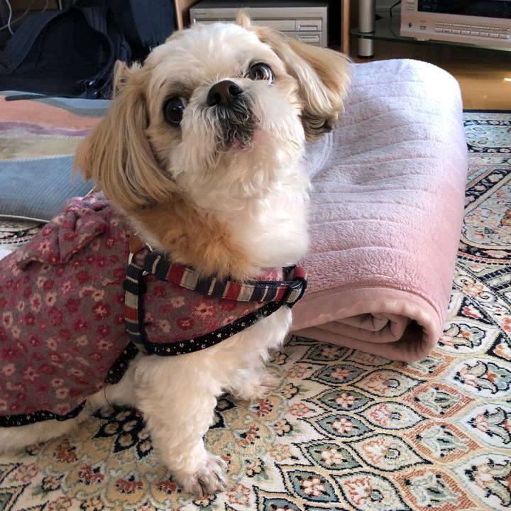 4e1e398f 4ba5 4325 8629 9dbf1fb2814b 1517866820075