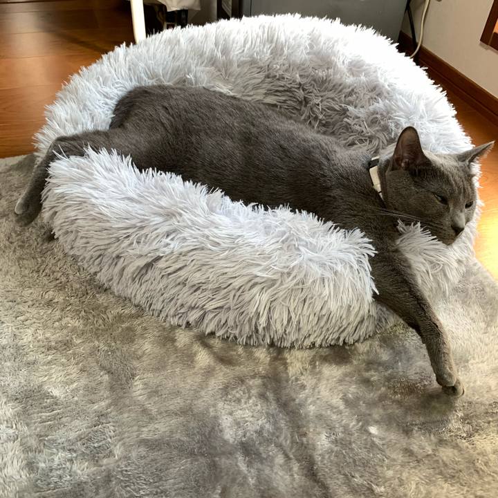 4e1e51ae ade0 43fe a82f afc49bcdbc47 1634884340929