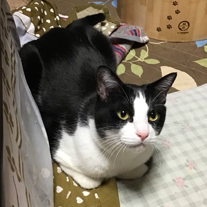 4e1e5b75 71e0 4452 8317 65421f057c6c 1734080127422