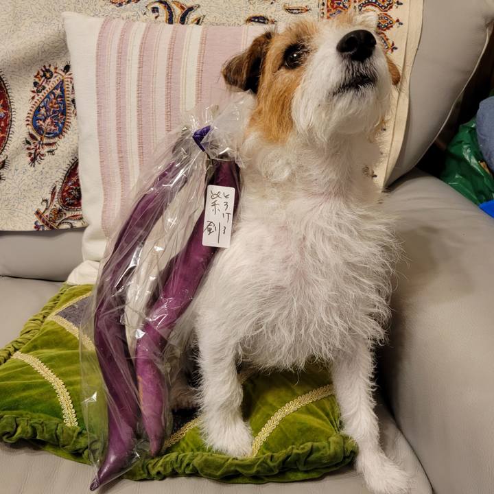 4e1e6f48 035d 482d 8045 c353da1fced2 1663512037718