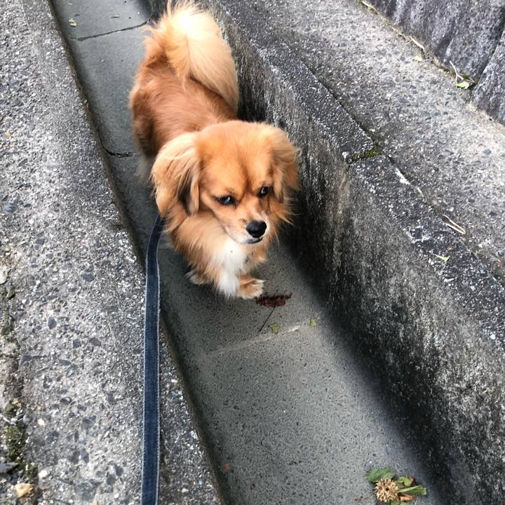 4e1e9a01 75e2 4fc6 aafe b4c5d62f21f2 1538517624144