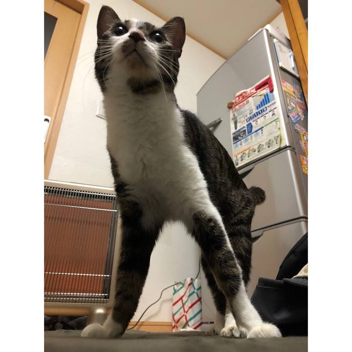 4e1ea598 a614 41e2 a5c9 a066cd6390bd 1643058240637