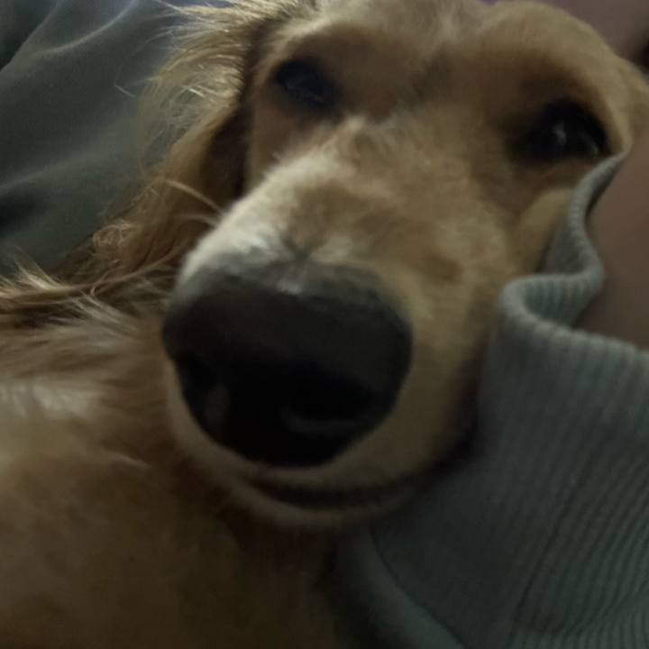 4e1eaa36 d9b1 4432 9dc4 b68df7db5cc0 1698746492521