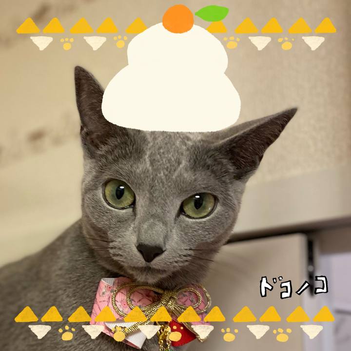 4e1ecd9a f647 4194 a044 c10617205085 1704458799622