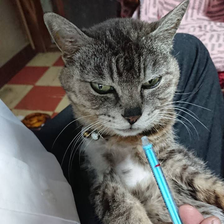 4e1ece1b bfc8 4062 983f 821a79f7ed44 1590529315295