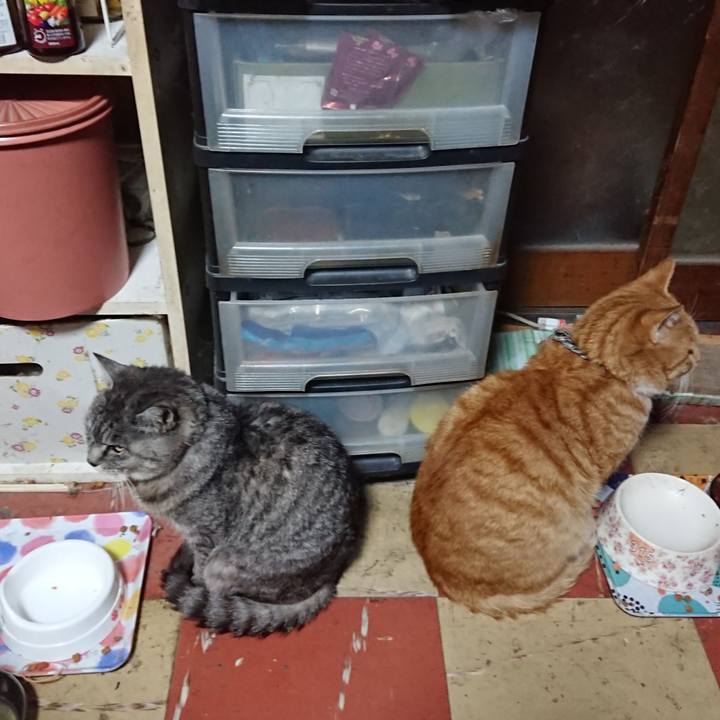 4e1efb48 2160 4006 a5b8 7184da53199c 1572983619446