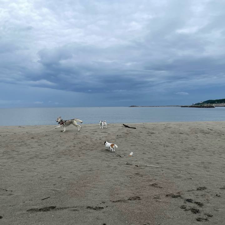 4e1f043f 5b30 4762 87f5 1d9feef54956 1725318918106