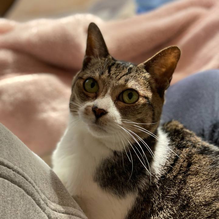 4e1f0db9 fd19 4f48 b24f 1285141188ae 1639534335940