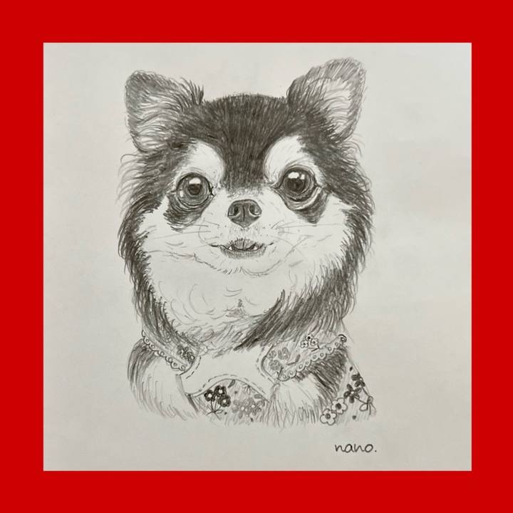 4e1f126d 980b 4967 a4ad 01e10fd4a2c6 1696933093190