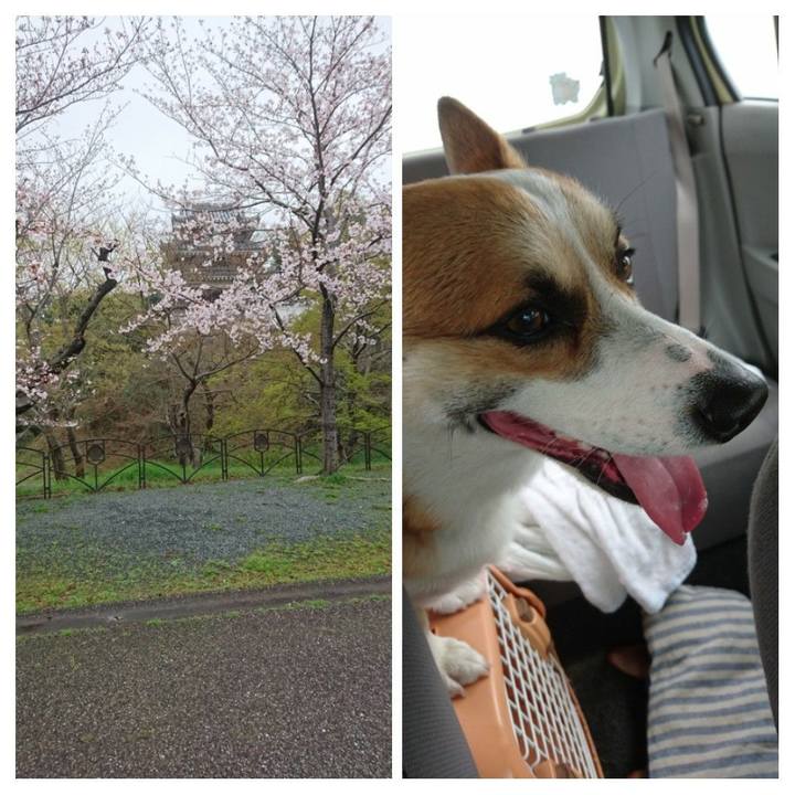 4e1f268f 30ec 4b73 b6d2 000515274185 1585622688309