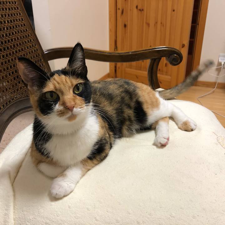 4e1f4e52 3ea3 435f 9beb 4c297263d206 1535114143888