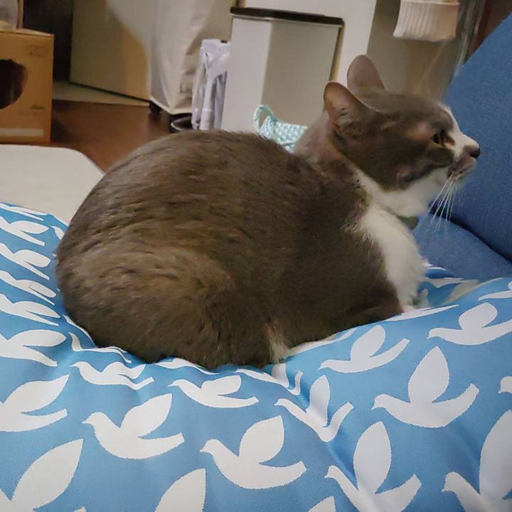 4e1f5335 58fe 494b 872b e227948fcab8 1704968686783