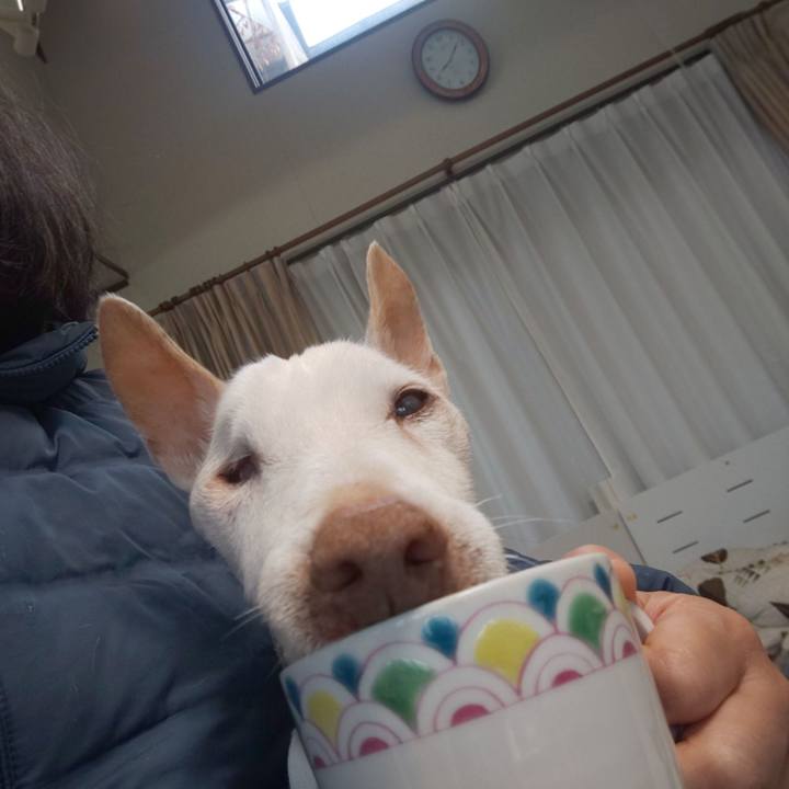 4e1f733c a72e 4f7f 940f 4f7223cf6003 1608593550432