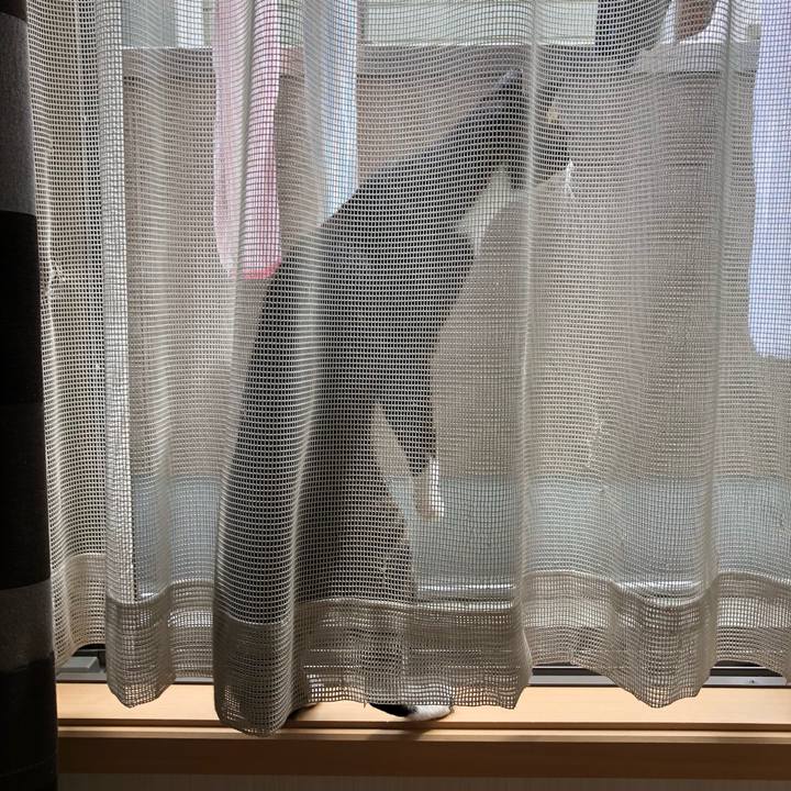 4e1f8ce7 5f82 45bd aed4 e3d89c6c5fc3 1525340044521