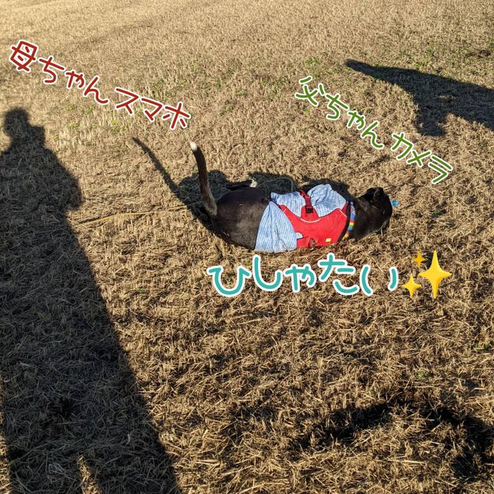 4e1fc23a a68d 4db1 911f e7c3a33d3279 1671189943618