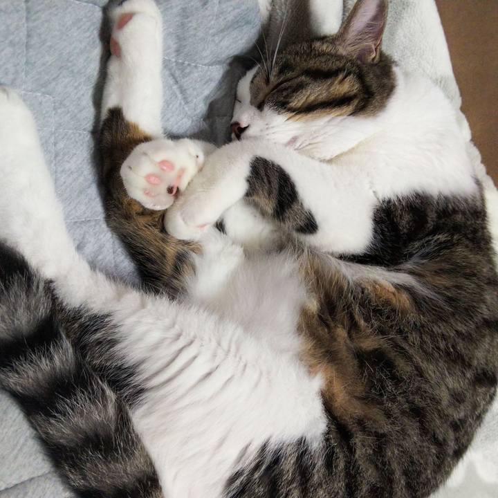 4e1fe8c7 fe99 4a0f a55a 96f0b983bf30 1629620432833