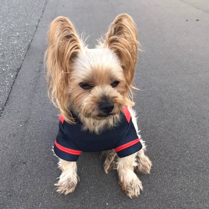 4e200d7e e2b6 465f 80cb 51388c53839f 1602408041146