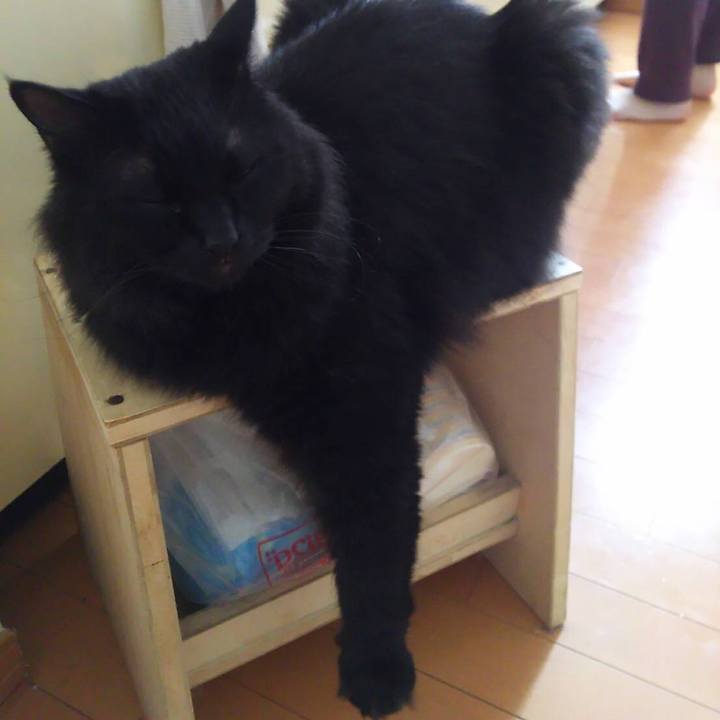 4e201bc2 1a9f 4123 a03e 700720aa9829 1560603581722