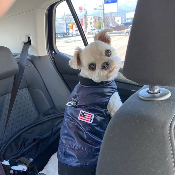 4e202b9c ea6c 4f6a a40f 51187cb67345 1612603369067