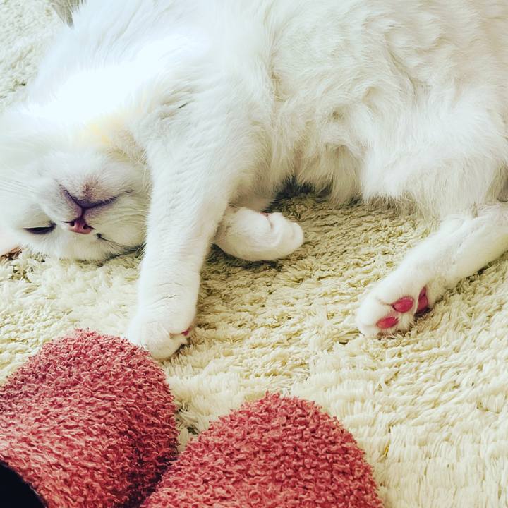 4e2037e1 02d4 4691 9881 7e2c7a10ffda 1677469973061