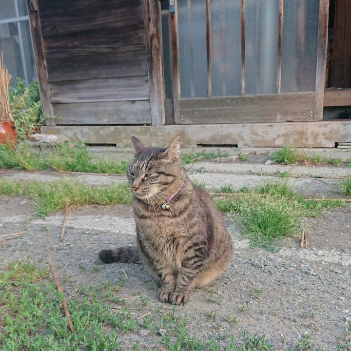 4e20542e d544 4236 8a15 0e105e571d5c 1653512243317