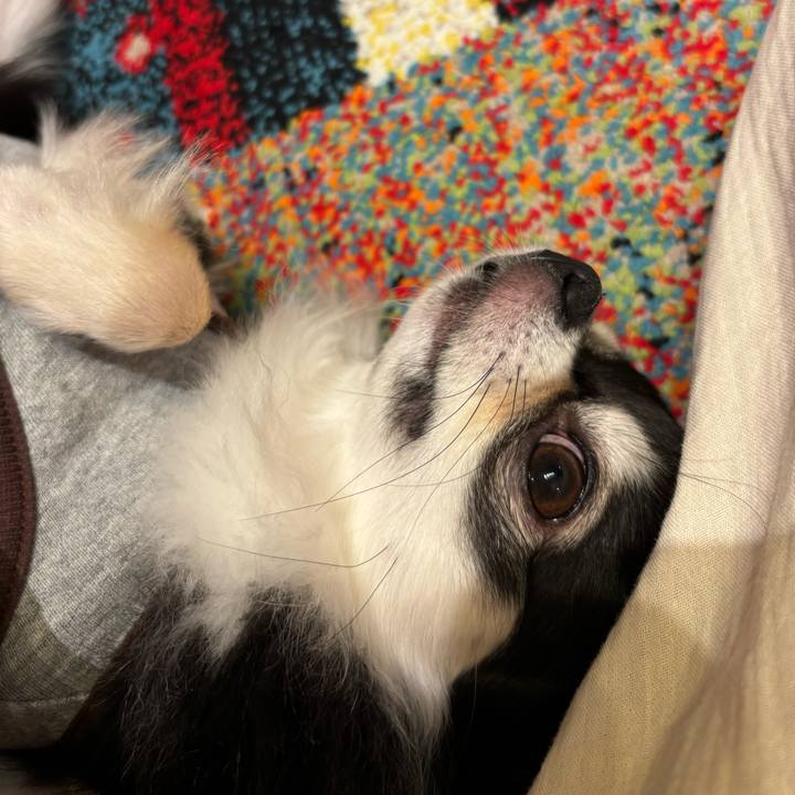 4e206b59 6e6b 474f b911 1f2812a29fa7 1729354164682